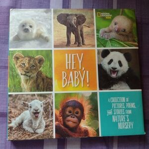 Hey, Baby! A Collection of Pictures, Poems, and Stories from Nature's Nursery